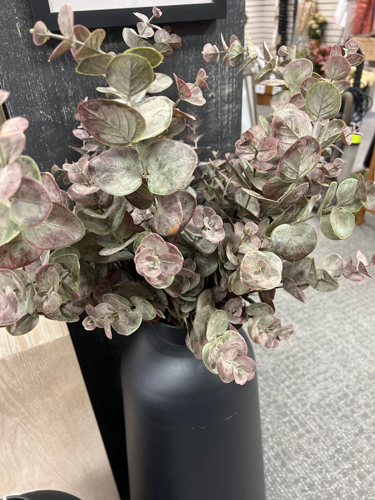 Plum 34" Euc Spray