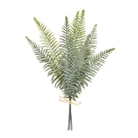 Fern Bundle 20"