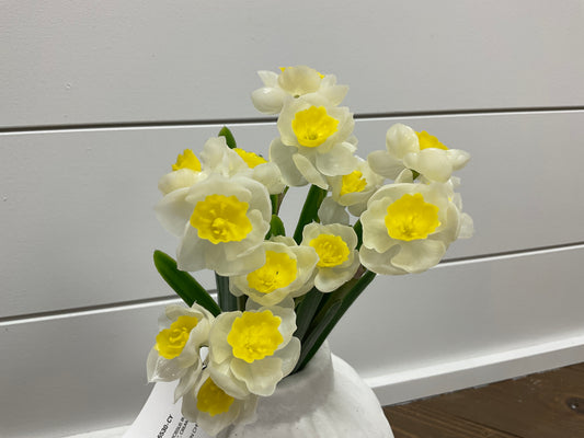 Narcissus Bundle