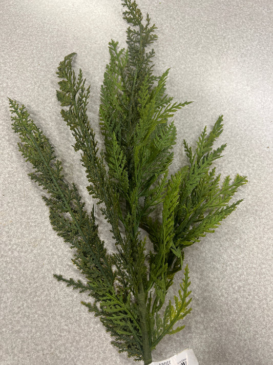 Cypress Spray