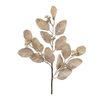 Leaf Spray