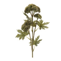 28.5 Sedum Spray GR