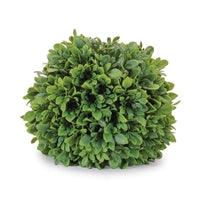 Boxwood Orb