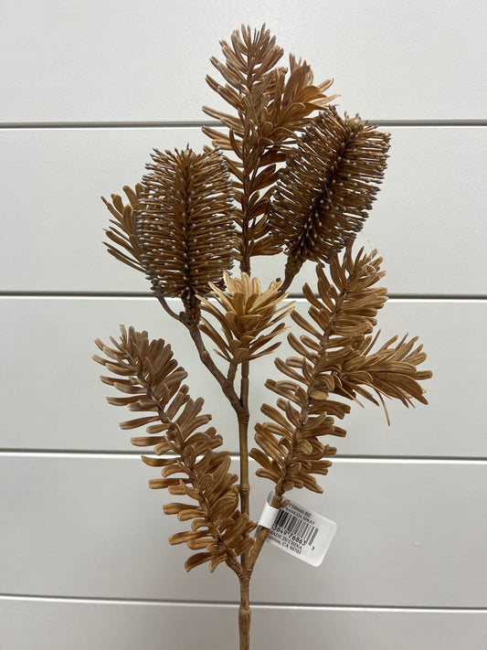 Banksia Spray BE