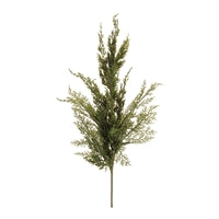 34.25 Pine Spray