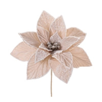 23.5 Cream Poinsettia