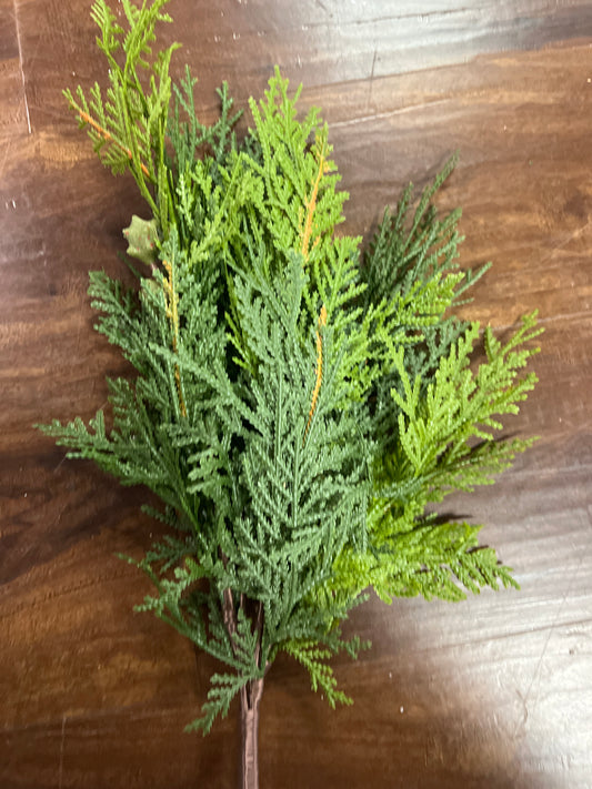 16" Cedar Branch