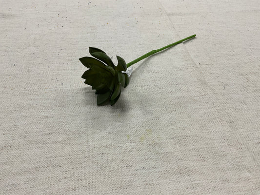 9.5" SM Echeveria Bouquet Pick