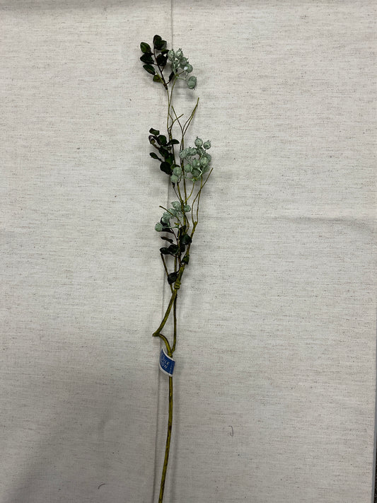 30" Berry Spray GR
