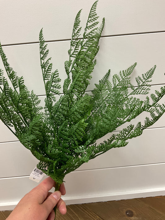 Leather Fern Bush 20" Green
