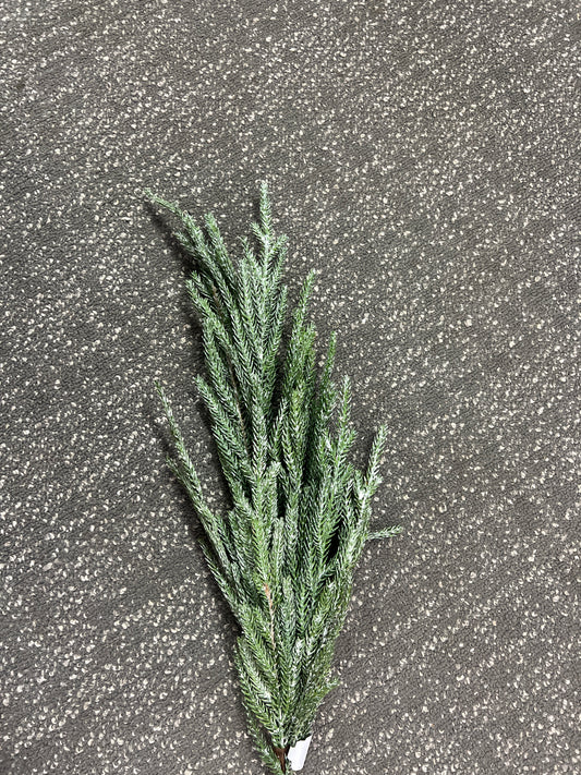 36" Cypress Spray GR/GY