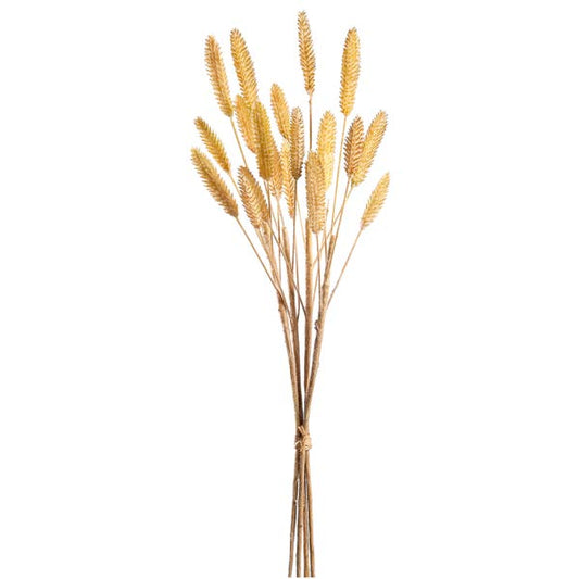 Beige 12.5 Reed Bundle x4