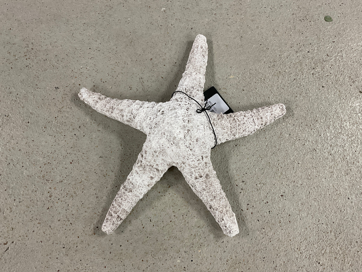10.5 White Weathered Starfish