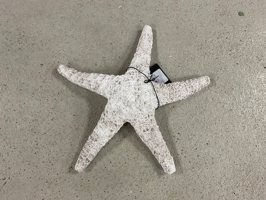 10.5 White Weathered Starfish
