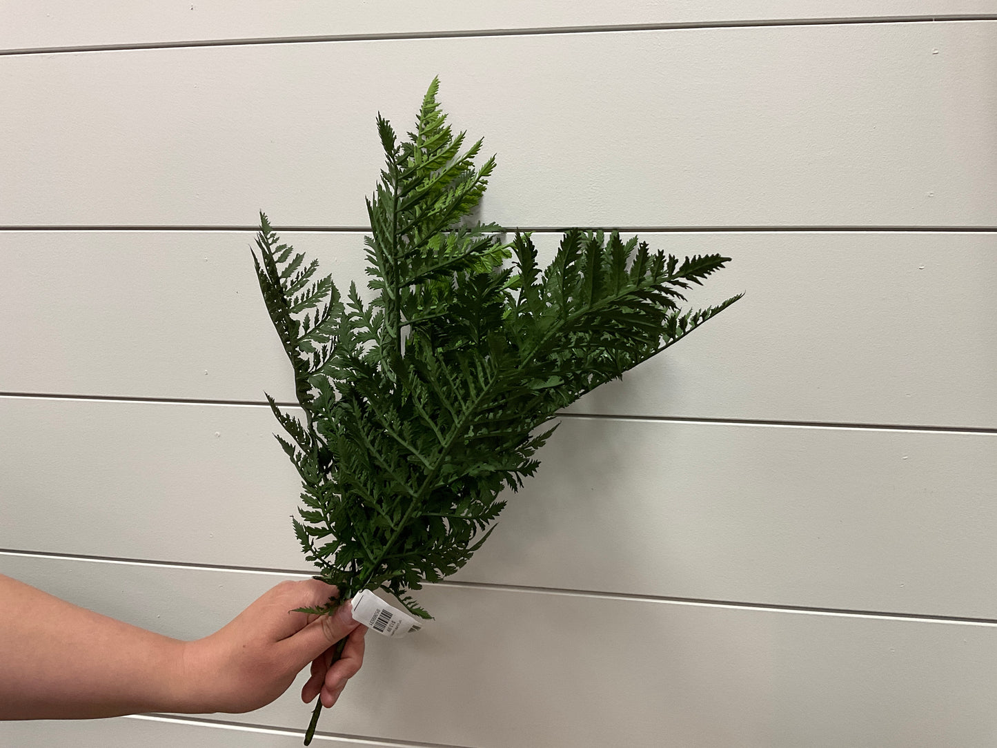 18" UV/FR Leather Fern Bush GR