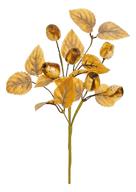 Eucalyptus Pod & Foliage Pick