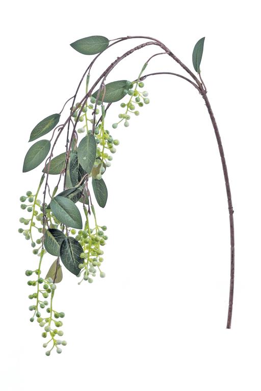 Cascade Berry Branch