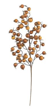 Berry Spray Coffee