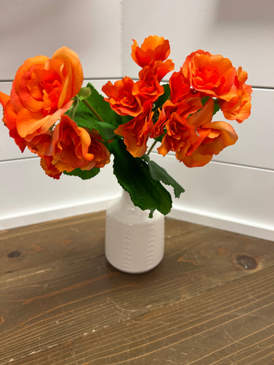 UV Orange Begonia Bush