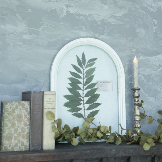 18.25" PRESSED FERN W/ ARCHED WHITE FRAME