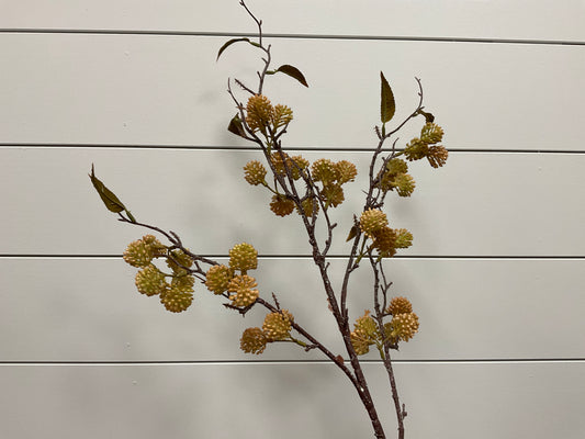 Gold Pearl Fruit Brnach