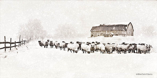 Warm Winter Barn with Sheep Herd