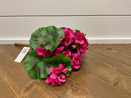 Geranium Bush 17" Hot Pink