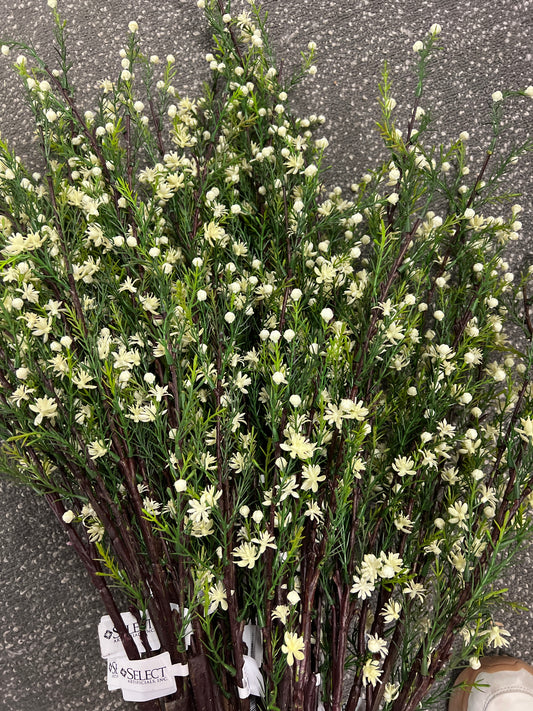 CM Budding Mini Blossom Spray