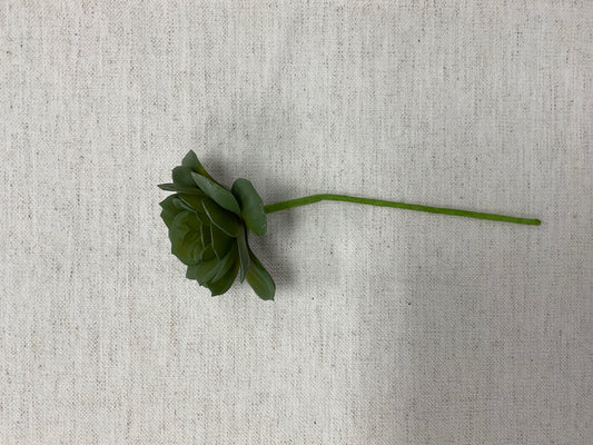 9.5 Echeveria Bouquet Pick