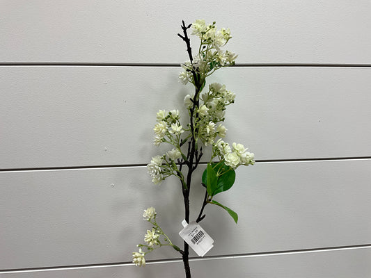 White Waxflower