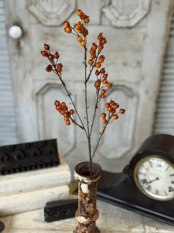 25" Bitter Berry