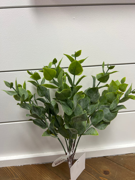 PL. Frosted Eucalyptus Bush x5 13"