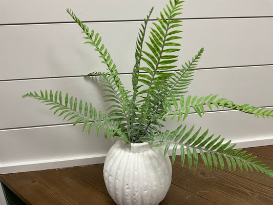 Fern Bundle 20"