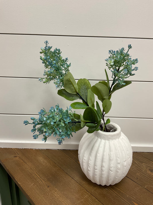 Seeded Peegee Hydragea