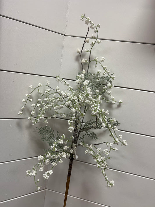 Frosty Cedar
