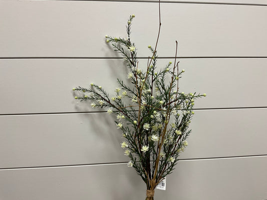 Leptospermum Bundle