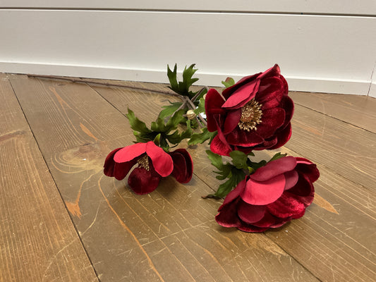 R Glamour Velvet Anemone Spray