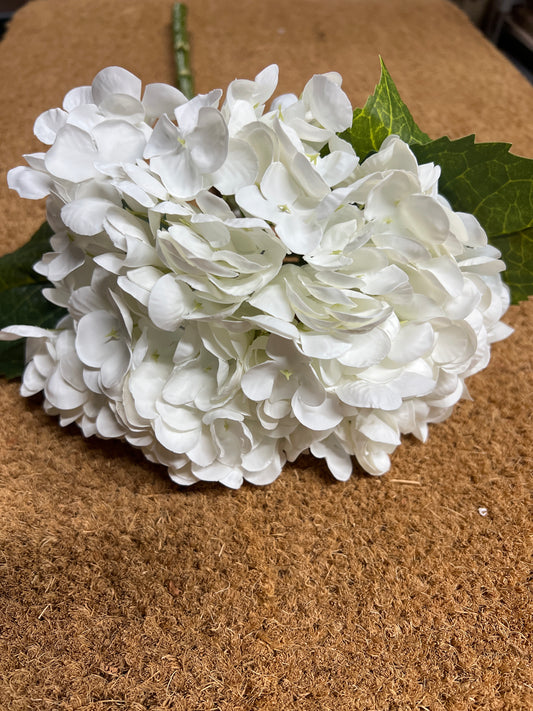 20" White Hydrangea