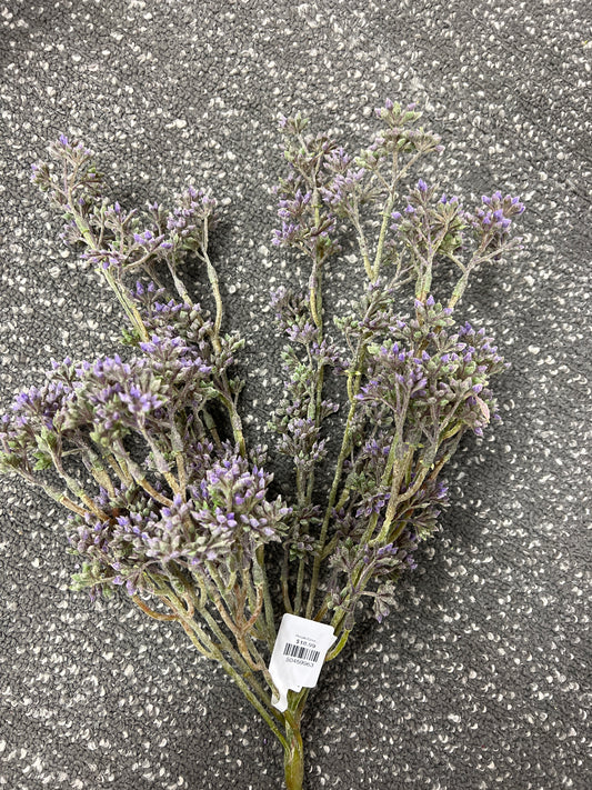 Purple/Green Seeds Bush