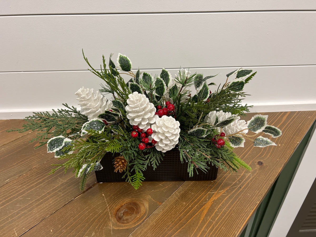 Holly Berry in Black Container