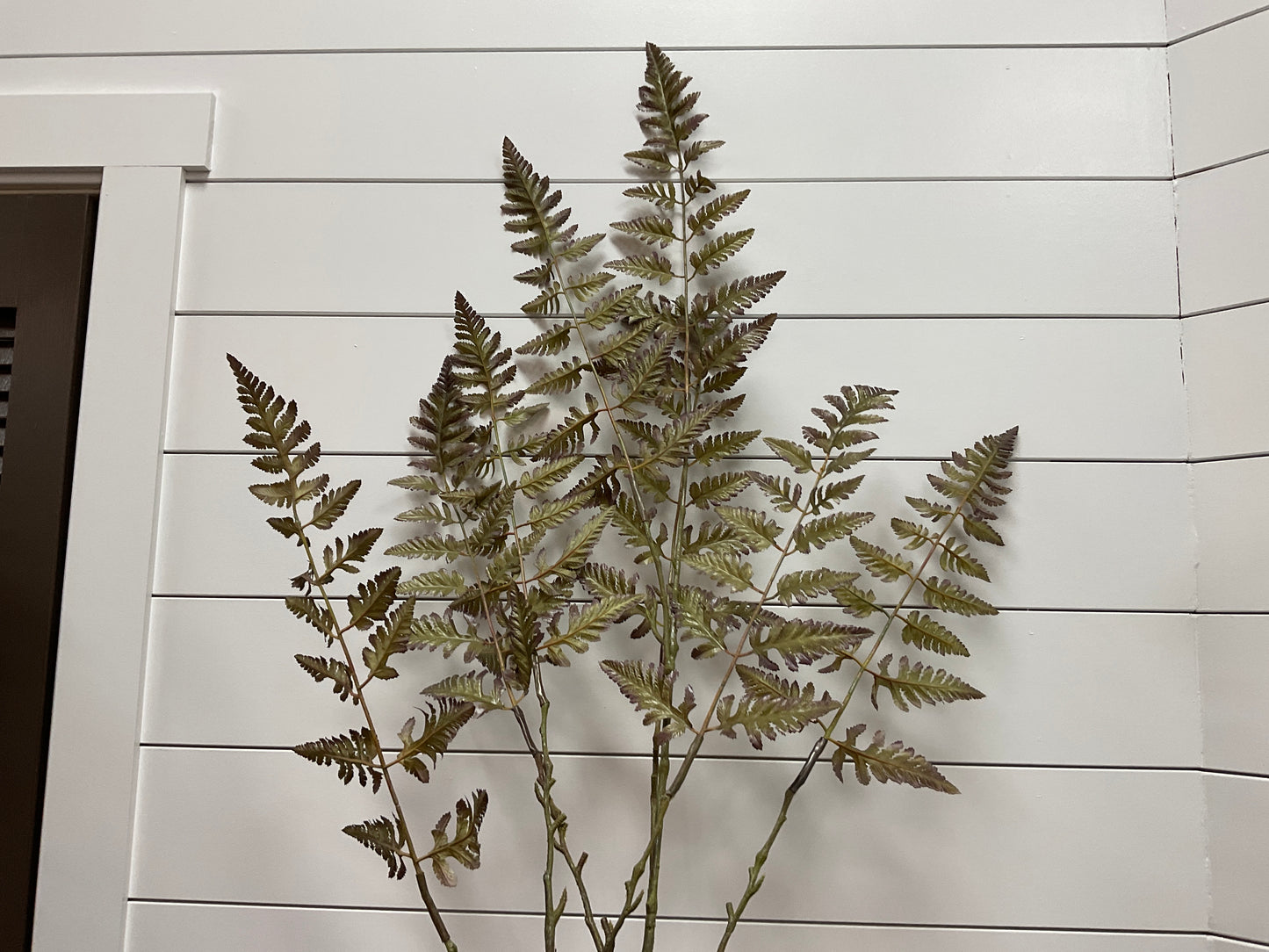 68.5 Fern Spray