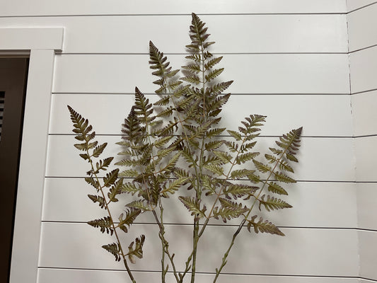 68.5 Fern Spray