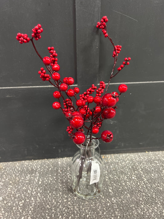 14" Berry in Glass Vase