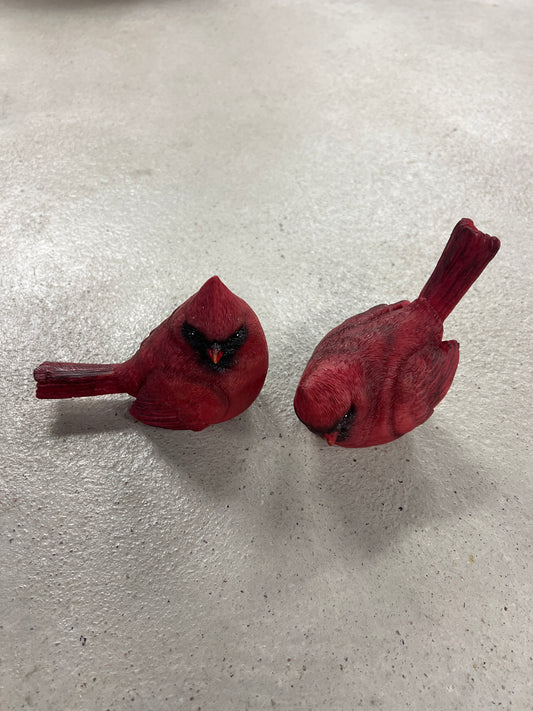 Medium Red Cardinal