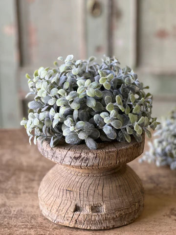 Pebble Eucalyptus Half Sphere