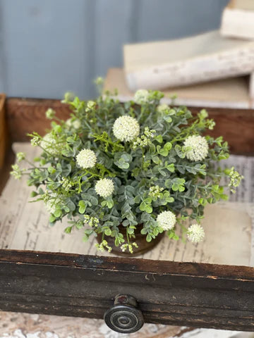 Garden Bliss Half Sphere | 10" | Cream