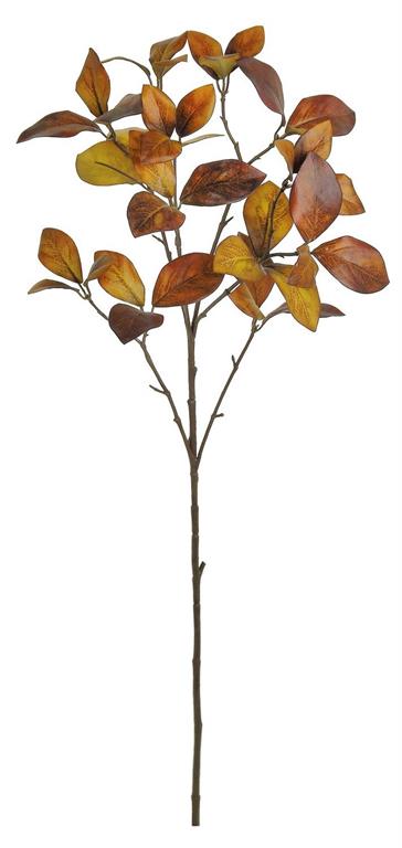 Enkianthus Foliage Spray, 30" Brown