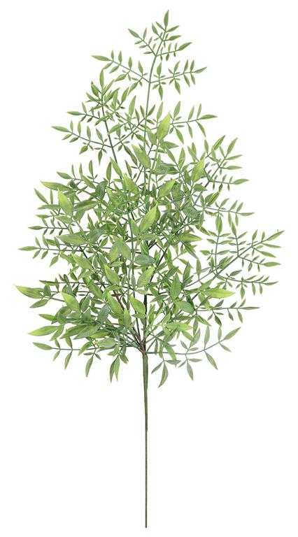 RUSCUS SPRAY X6, 29", SAGE GREEN/YELLOW