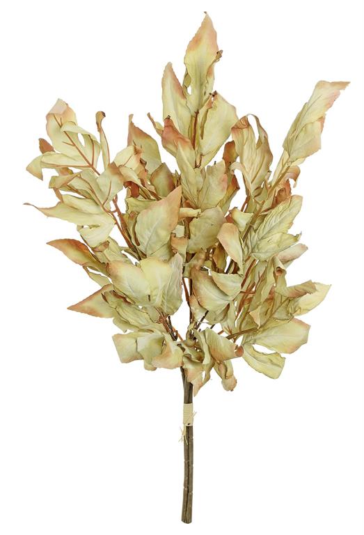 Dried Leaf Bundle, 26" Parchment