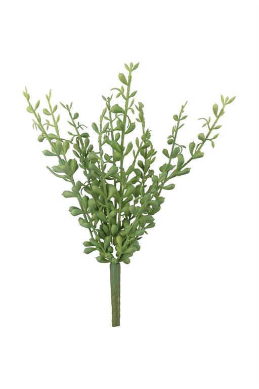 BABY TEARS PICK, 14.5", GREEN